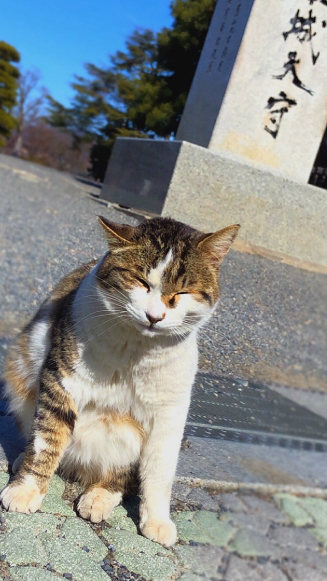 城の守り主！（気分屋さんなので、たまに見張りにきます）