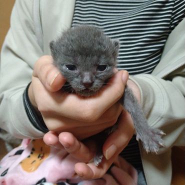 幸せになるぞぉ