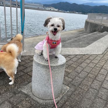 海を見にきました！