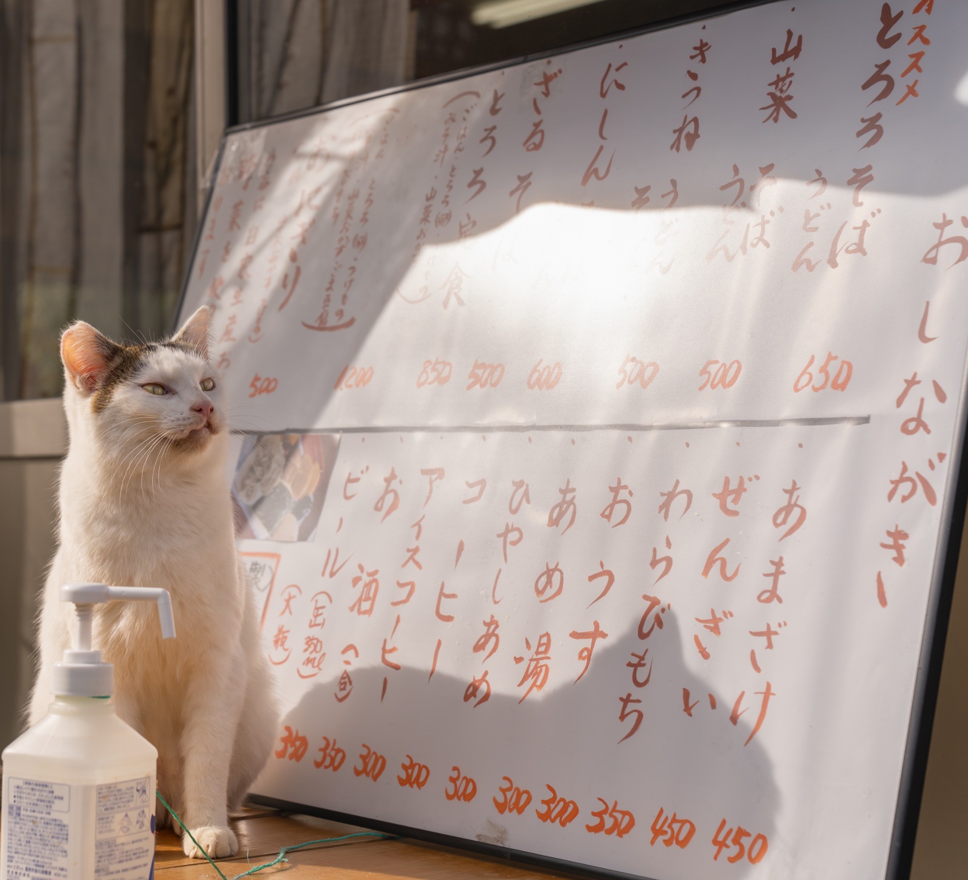 茶屋の看板ねこ