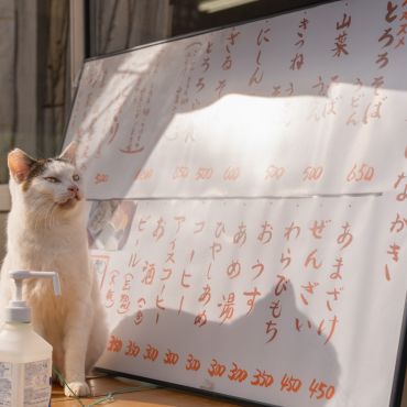 茶屋の看板ねこ
