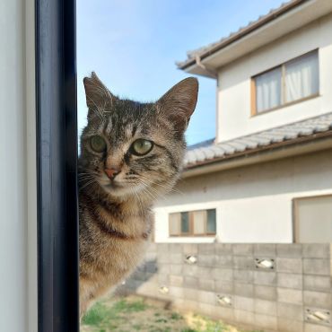お家に入れて？