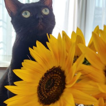 初めての夏🌻
