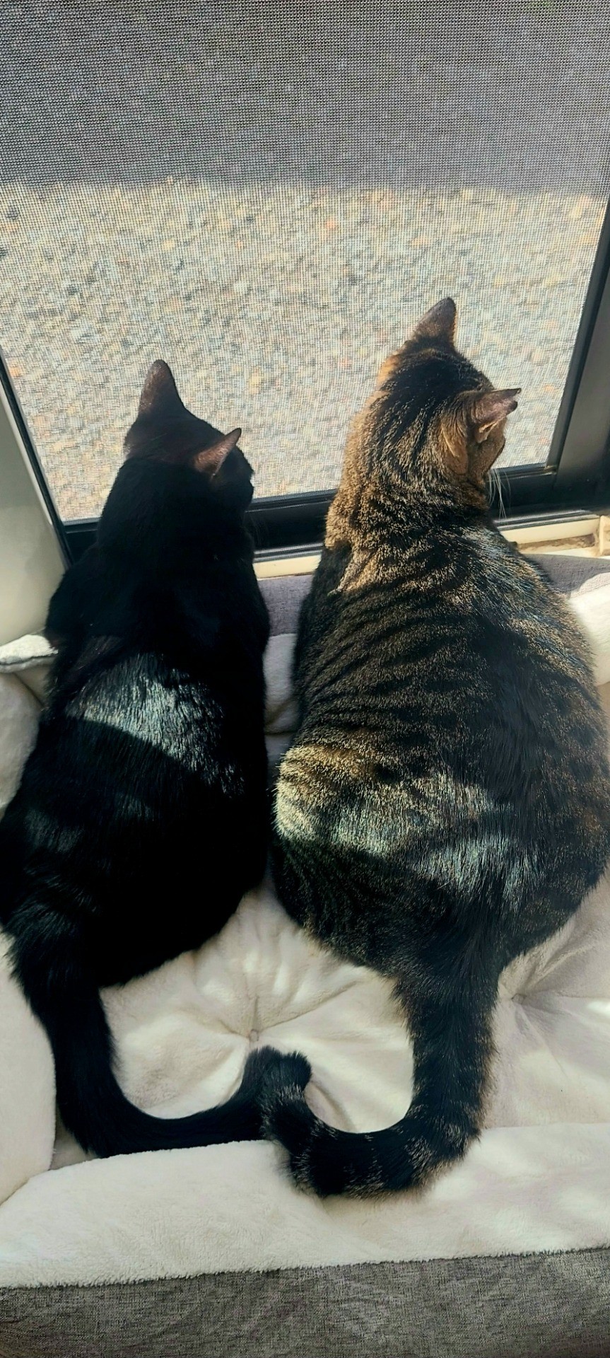 仲良し♡