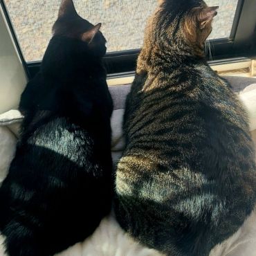 仲良し♡