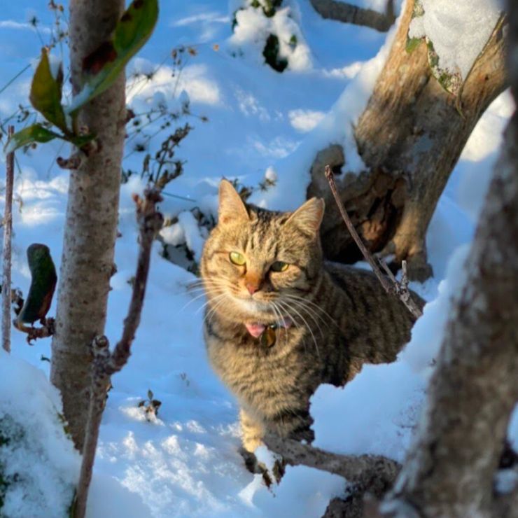 雪でも元気！