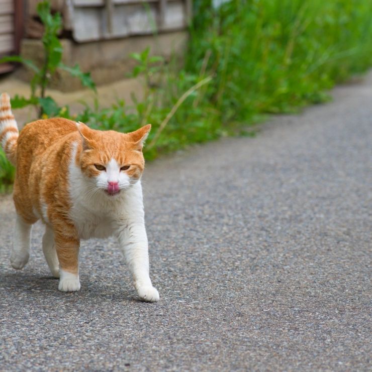 しあわせな時間