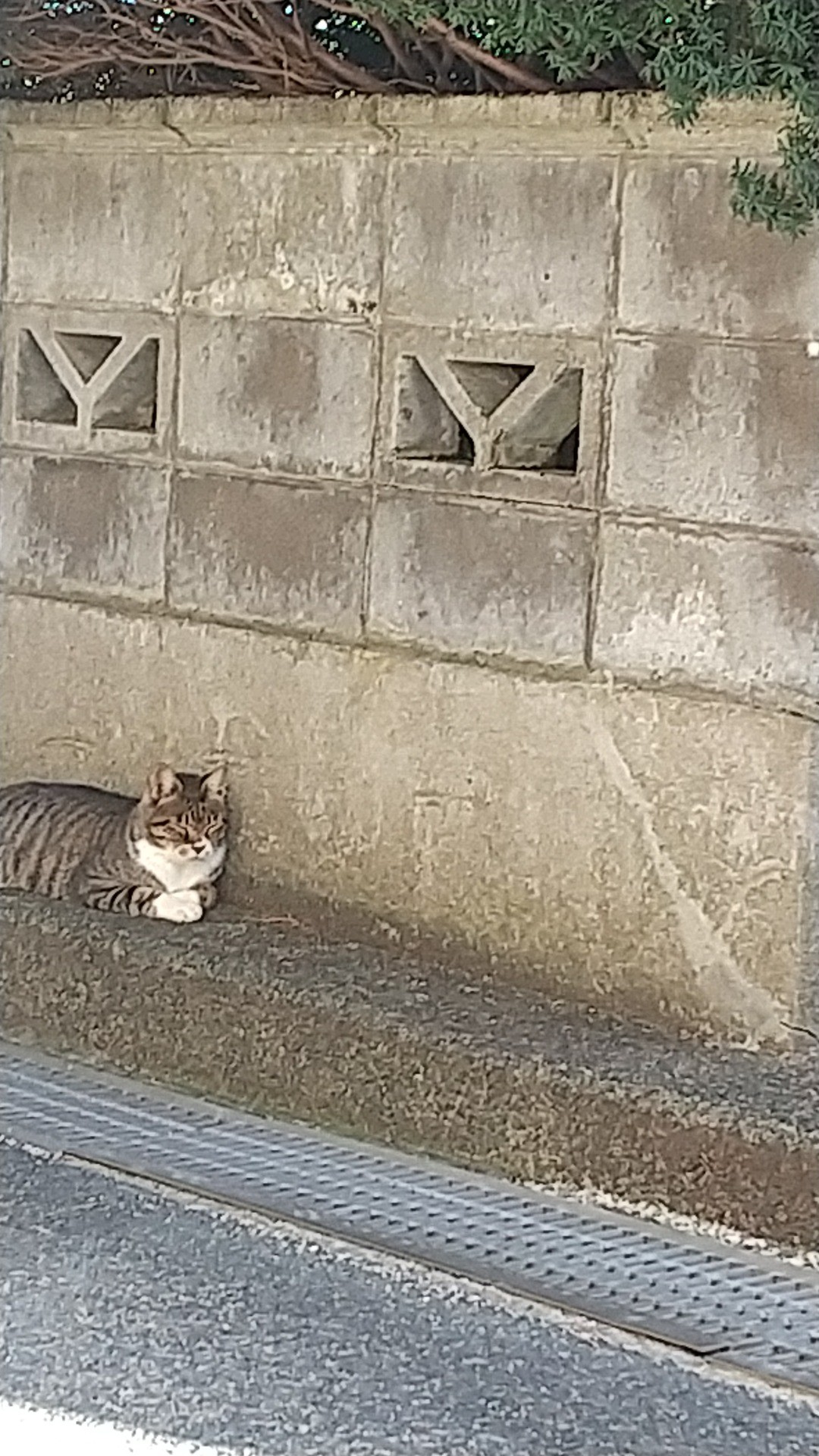 疲れたら休むのが日課
