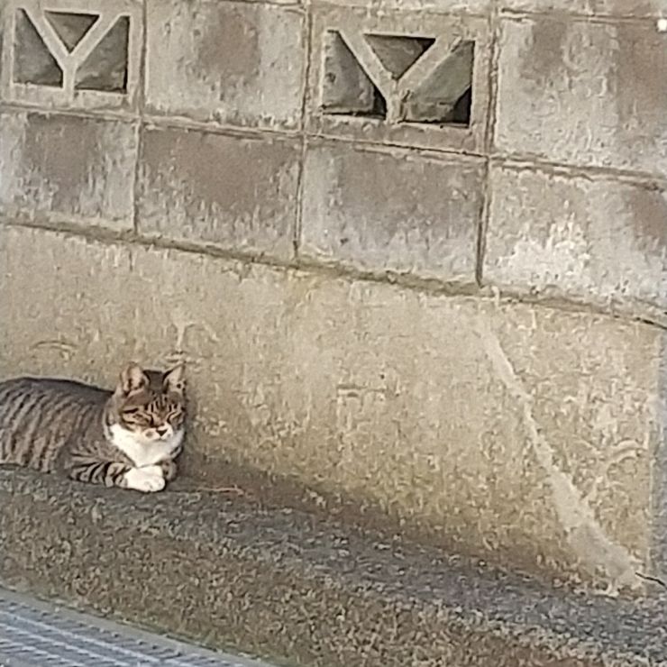 疲れたら休むのが日課