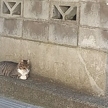 疲れたら休むのが日課