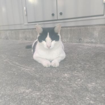 一生懸命生きてるから