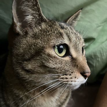 愛すべきもの