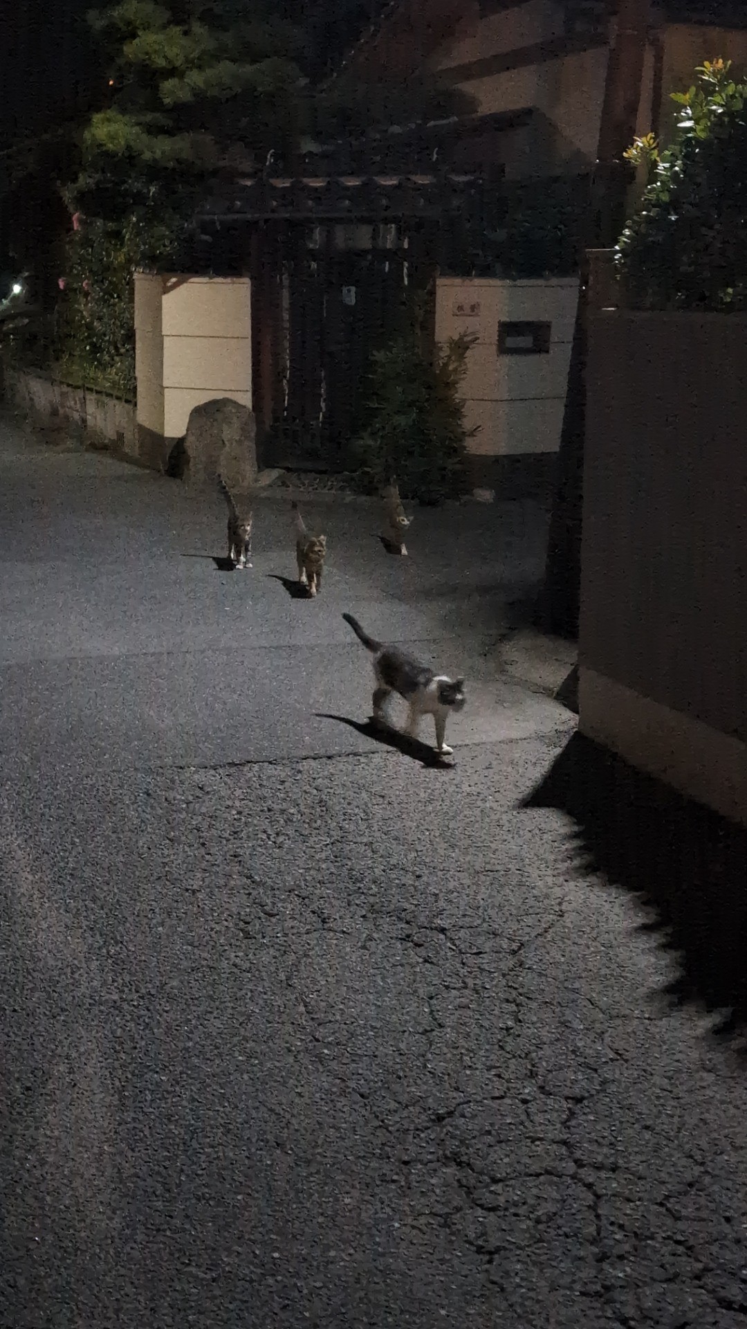 行くわよ