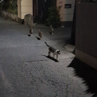 行くわよ