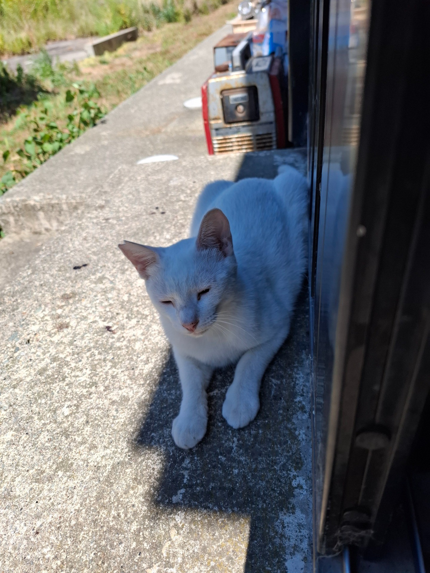 日陰で一休み