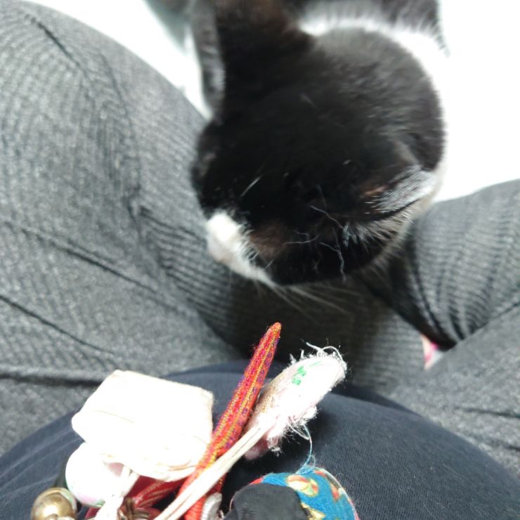 いのちのぬくもり。