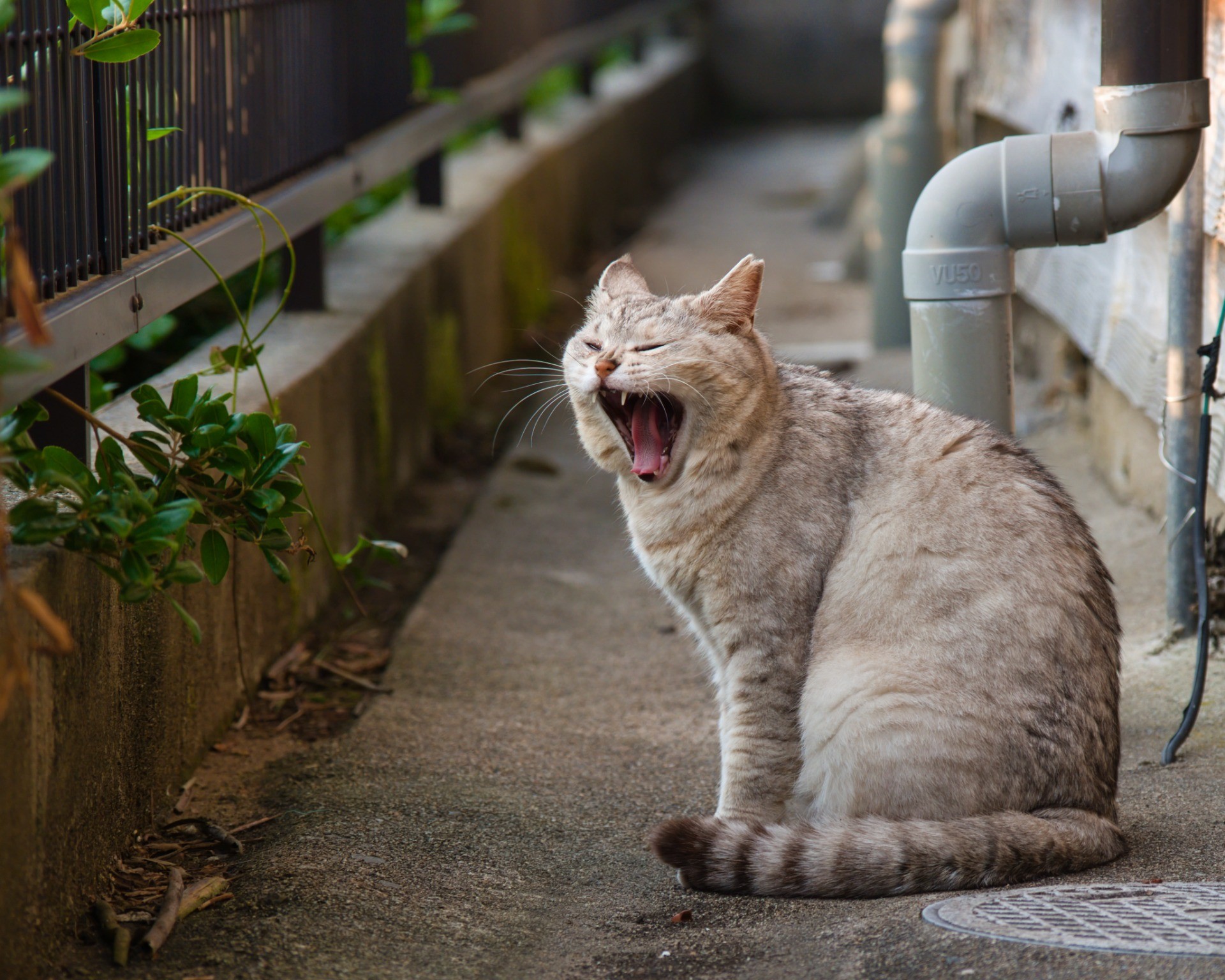 リラックスタイム