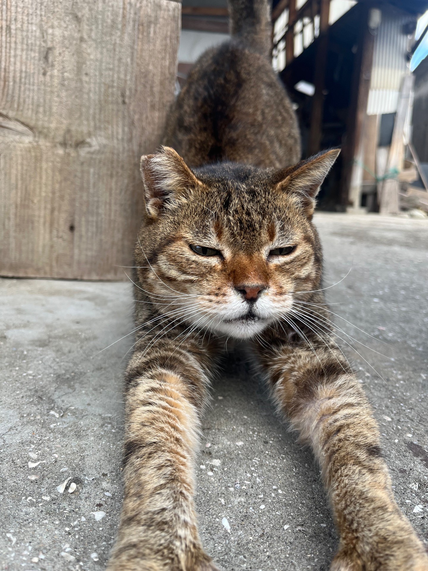 待っとったばい