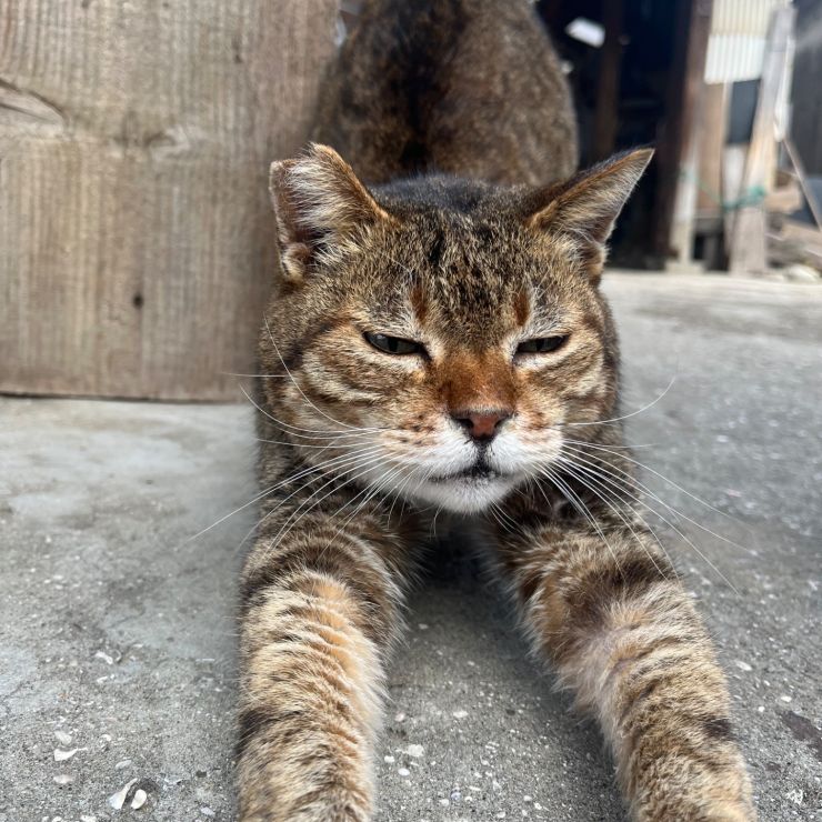 待っとったばい