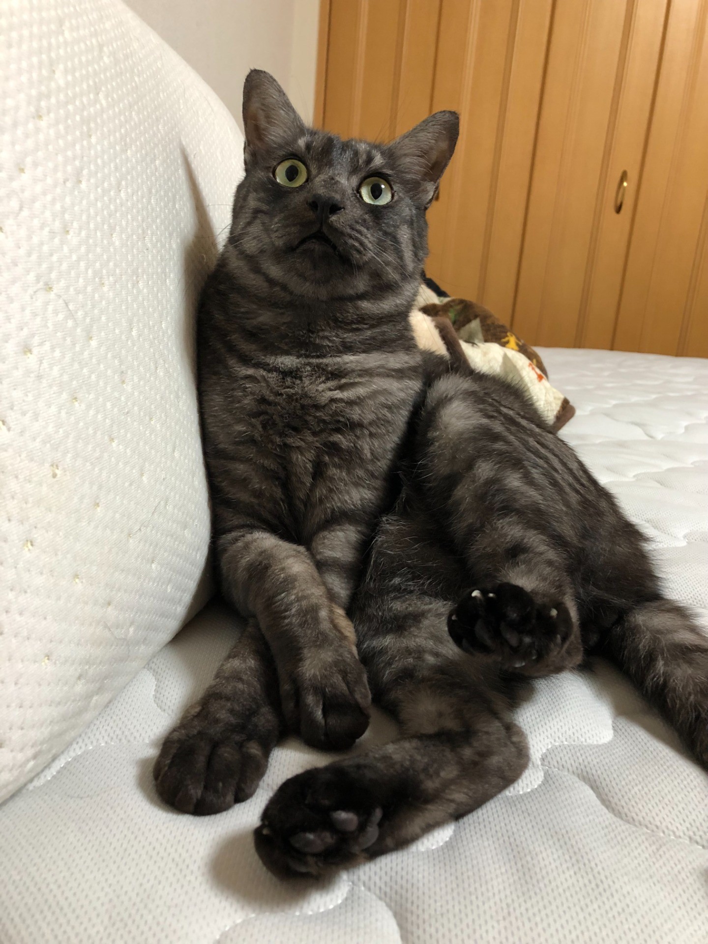 パパ大好きっ子