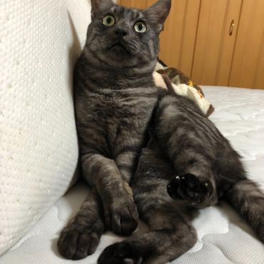 パパ大好きっ子