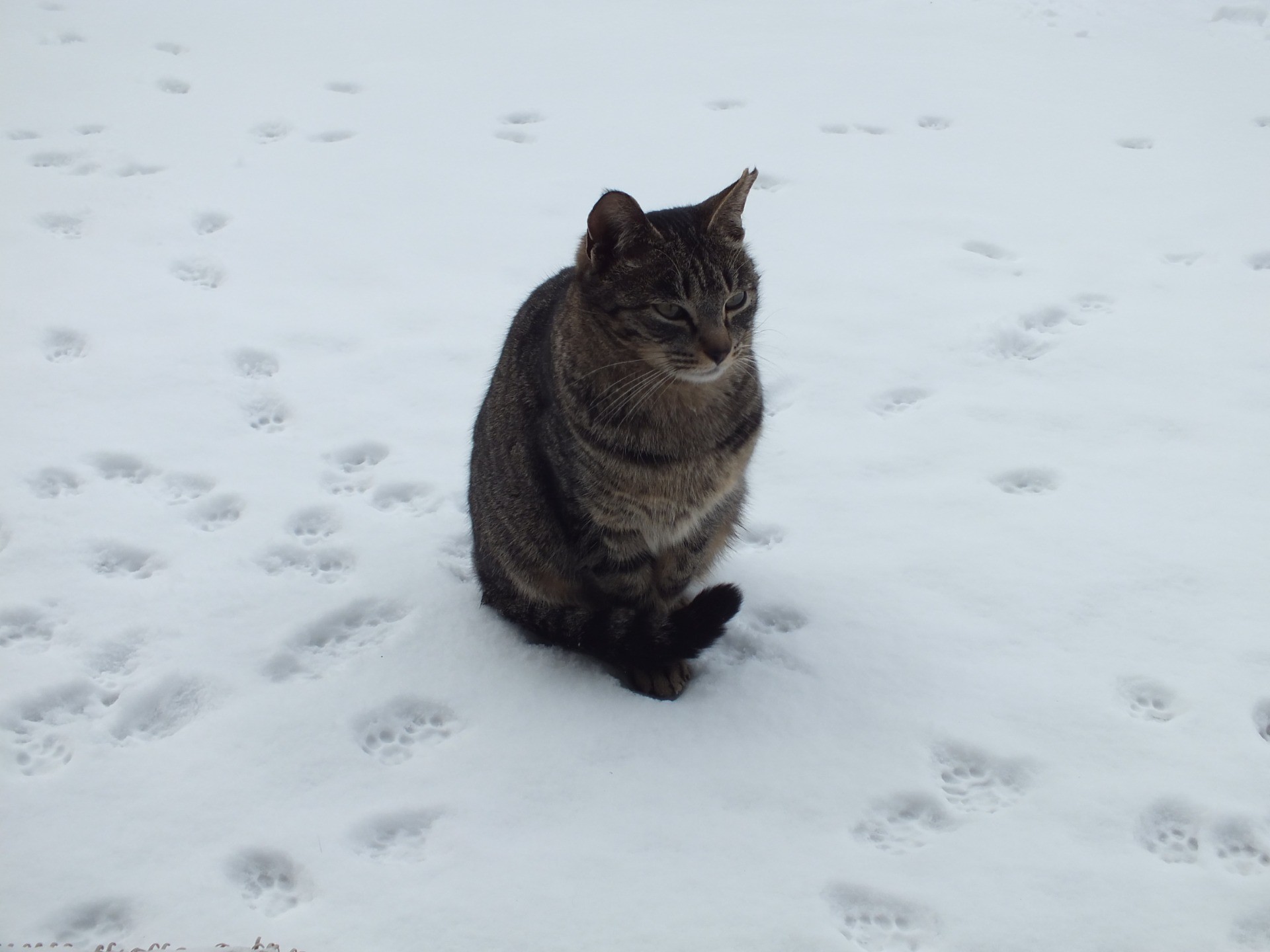 雪の晴れ間に