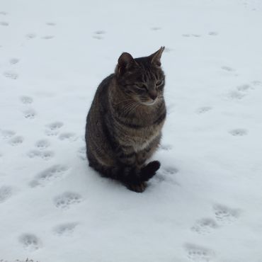 雪の晴れ間に