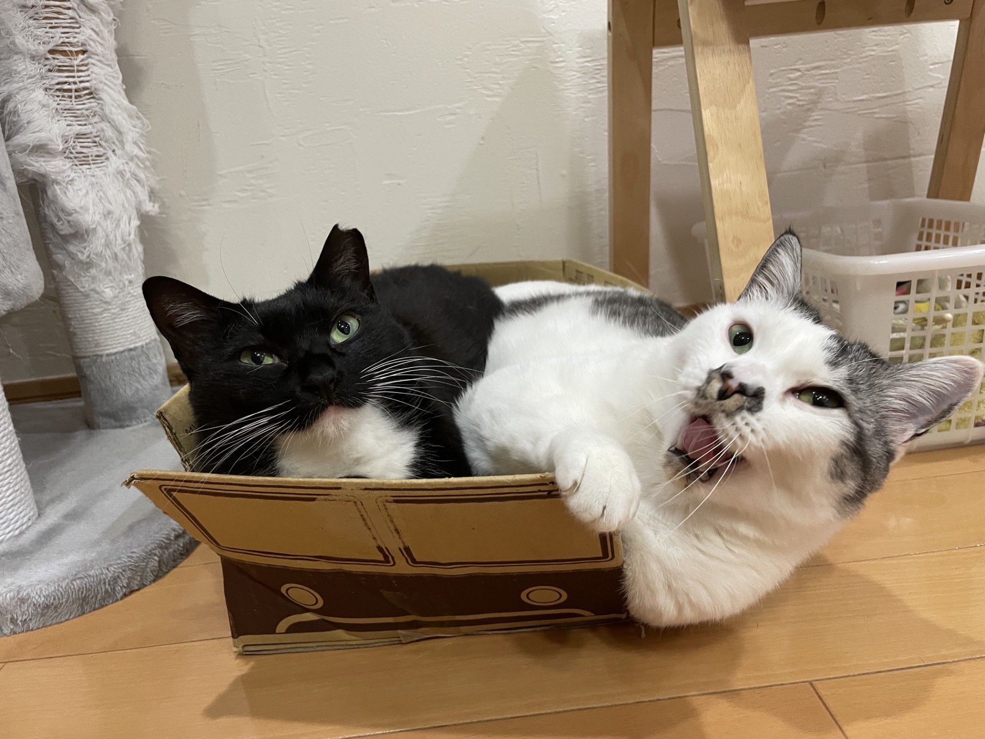 満員バス