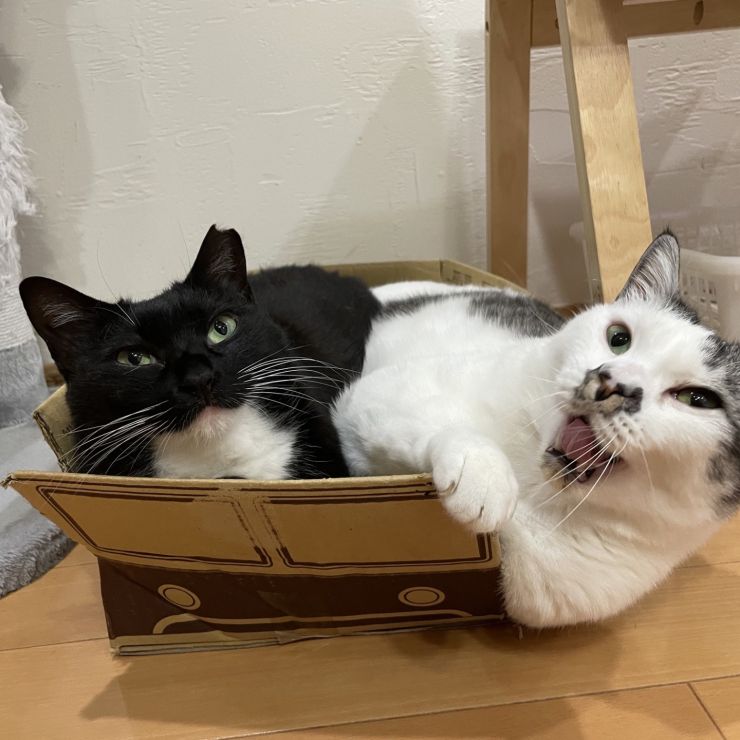 満員バス