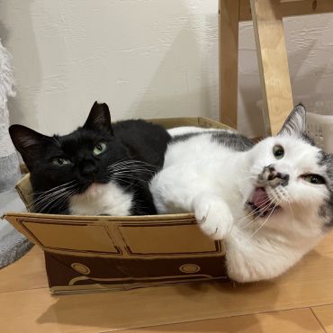 満員バス