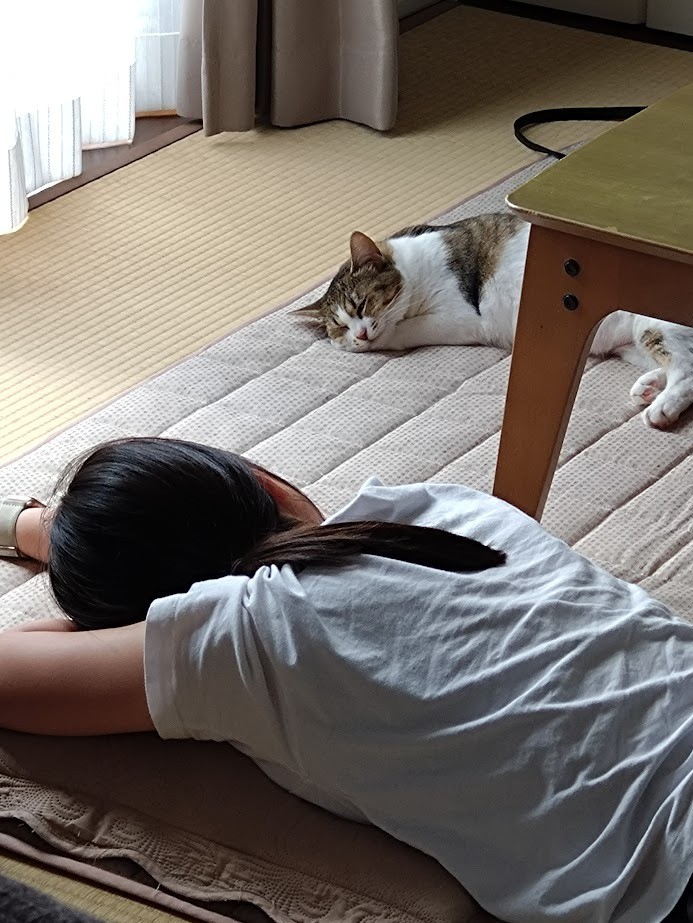 姉妹で昼寝