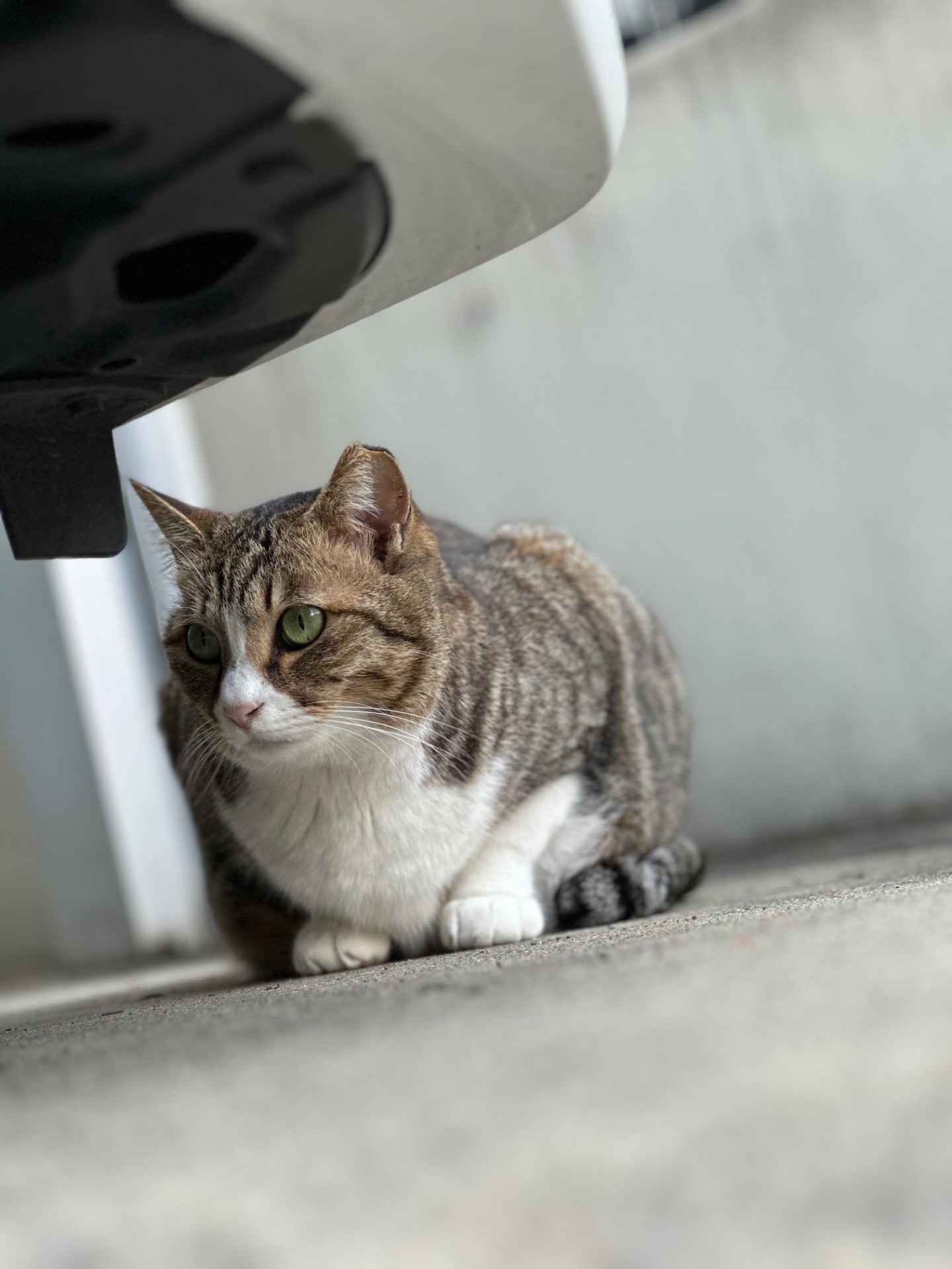車の影にて