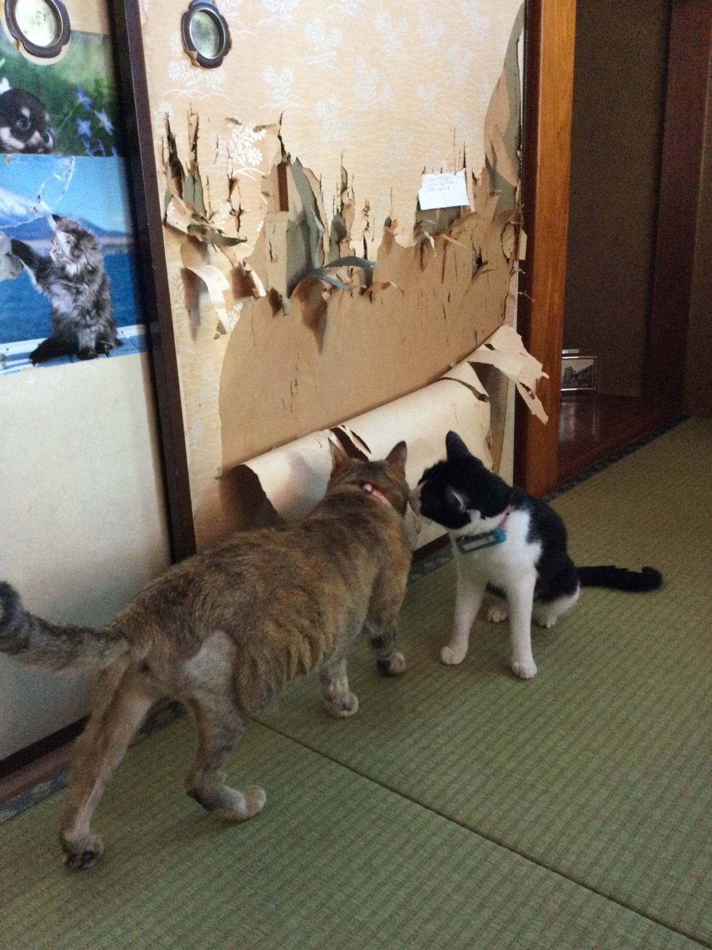 現行犯逮捕中