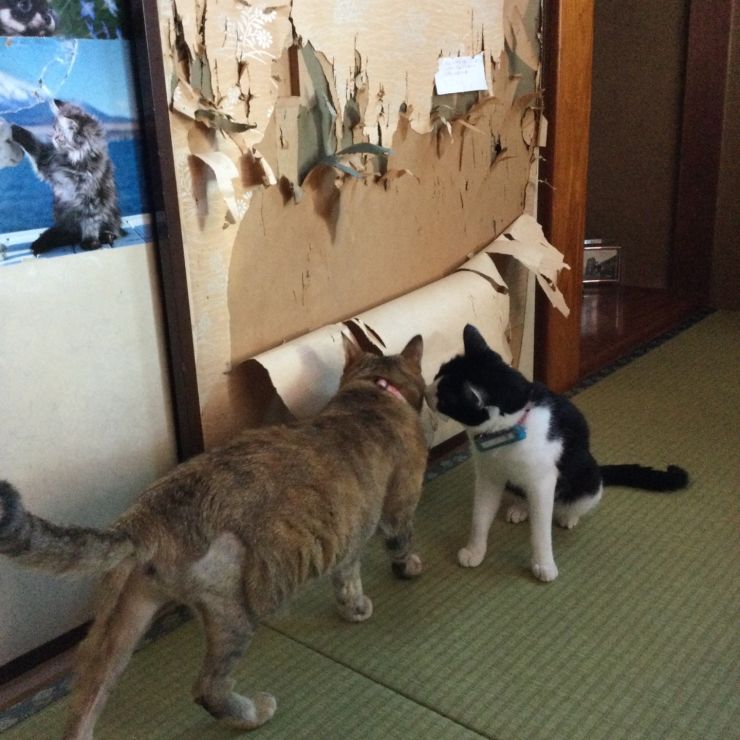 現行犯逮捕中