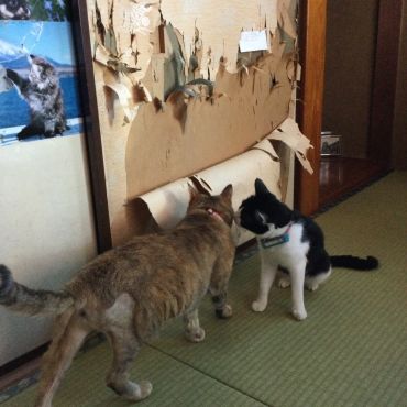 現行犯逮捕中