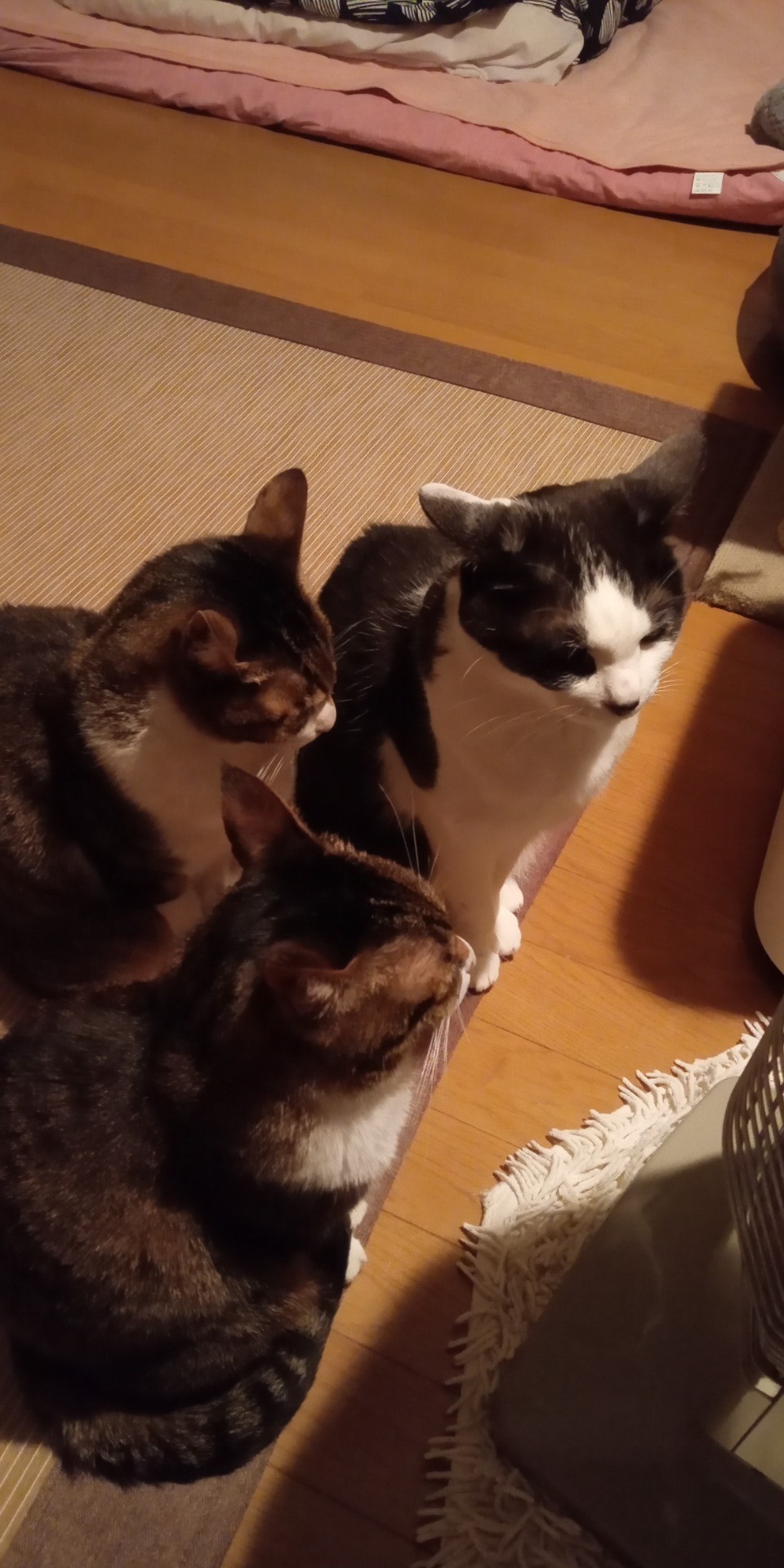 暖かいわぁ