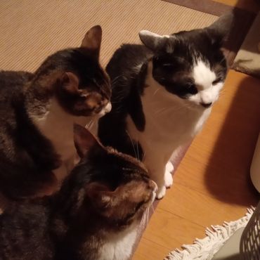 暖かいわぁ
