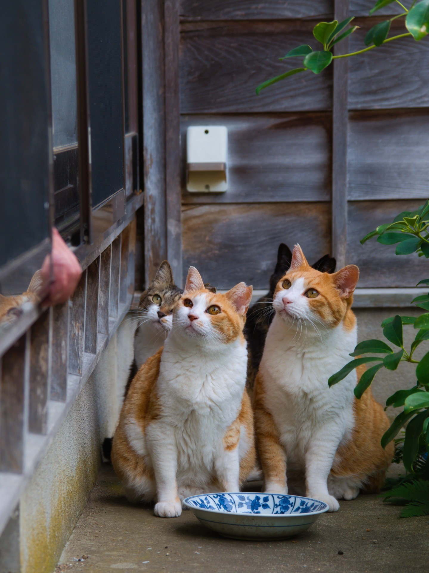 待ち遠しい時間