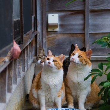 待ち遠しい時間