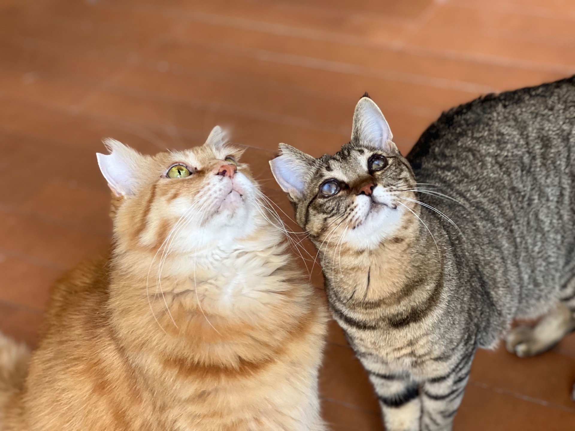 それぞれの生きた道