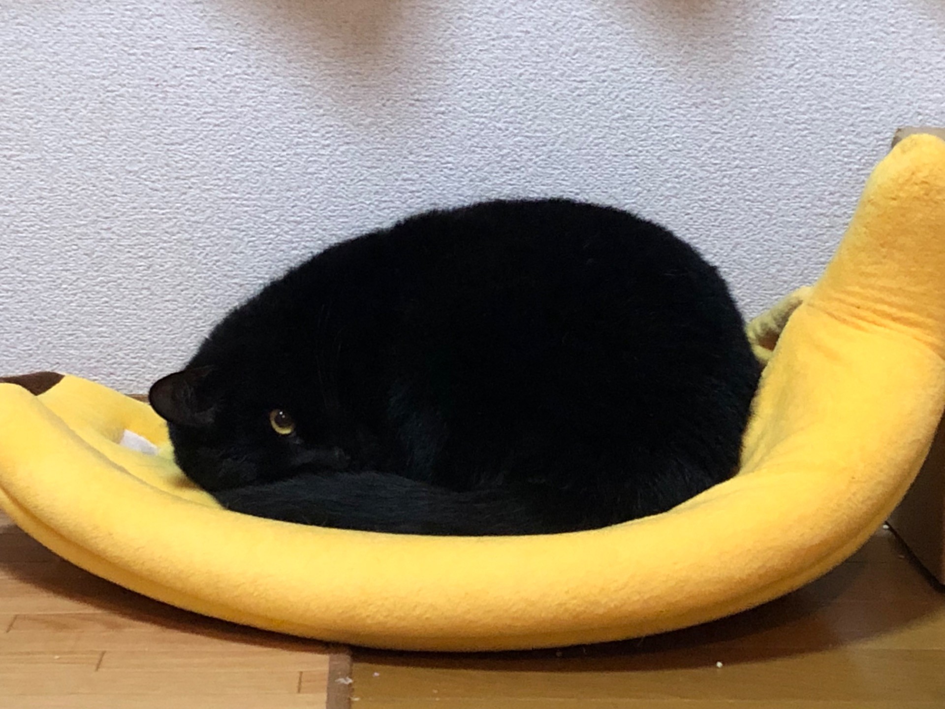 起きてた…