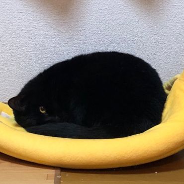 起きてた…