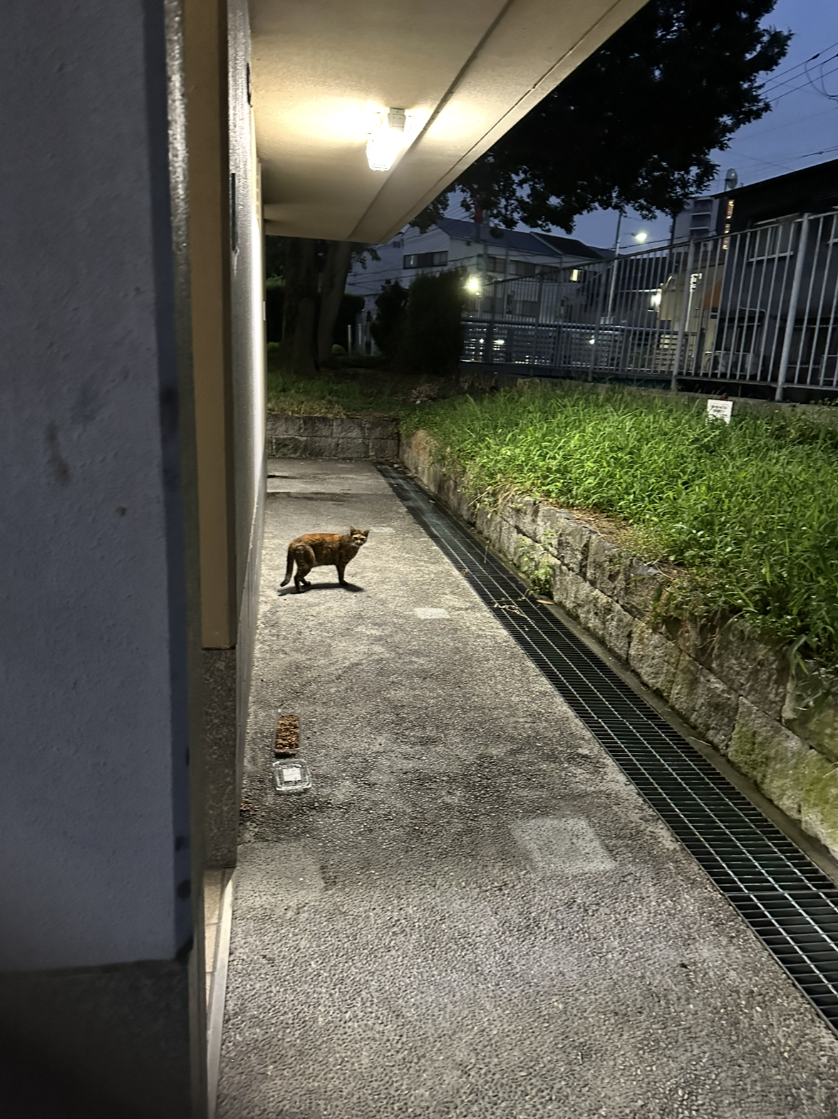 怖いけど💦