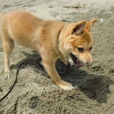 「寝転んでた日から、駆け出す今日へ」