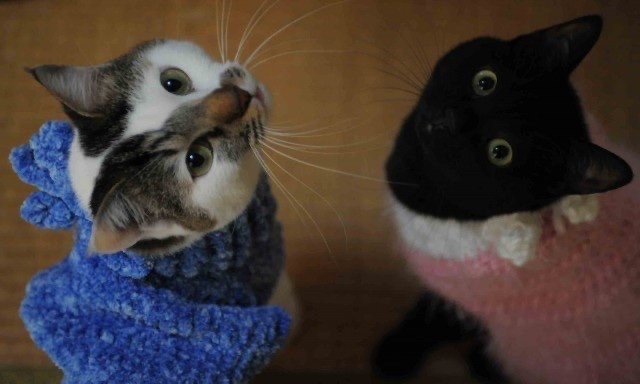 息がピッタリ！