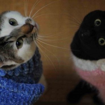 息がピッタリ！