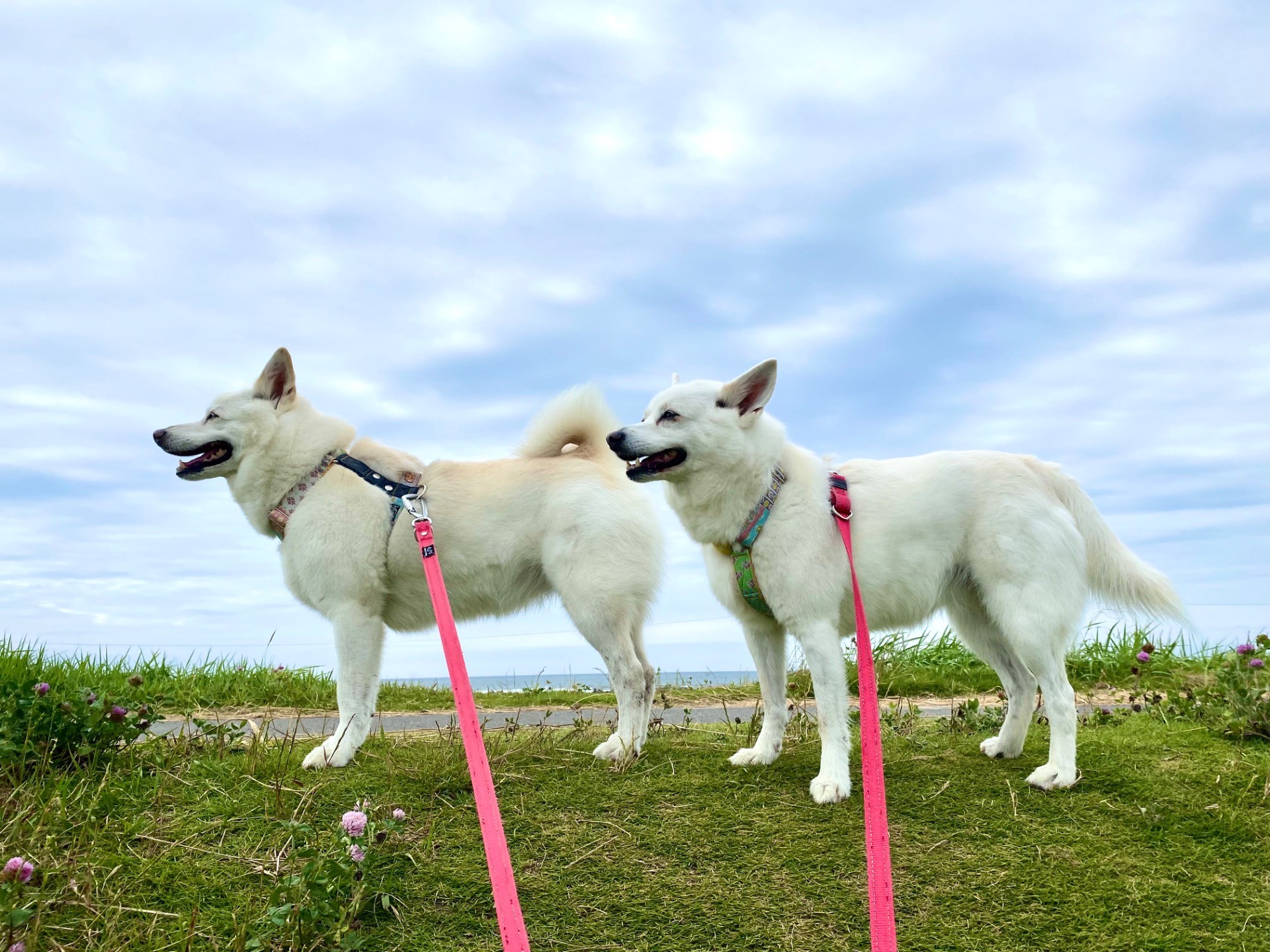 風に向かって