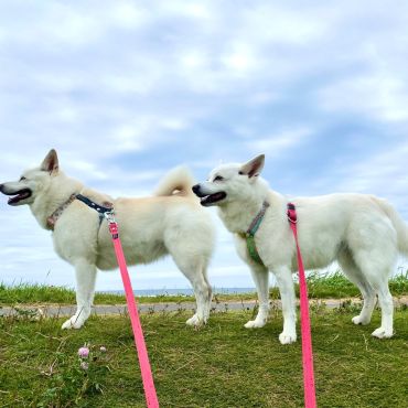 風に向かって