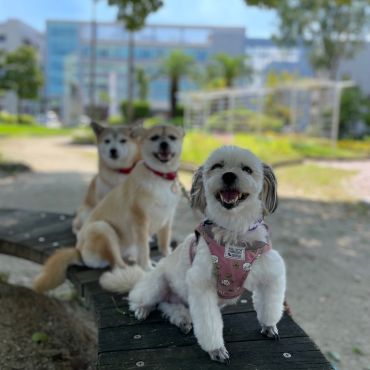中央公園で整列‼︎