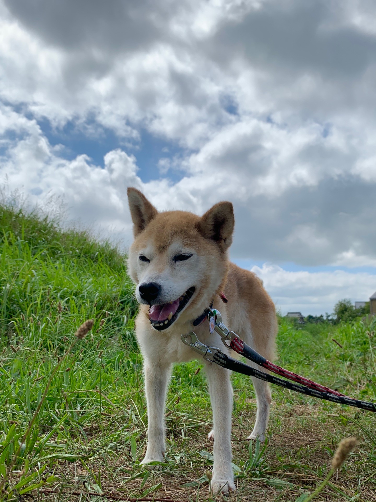 きぬちゃんペースでいこう